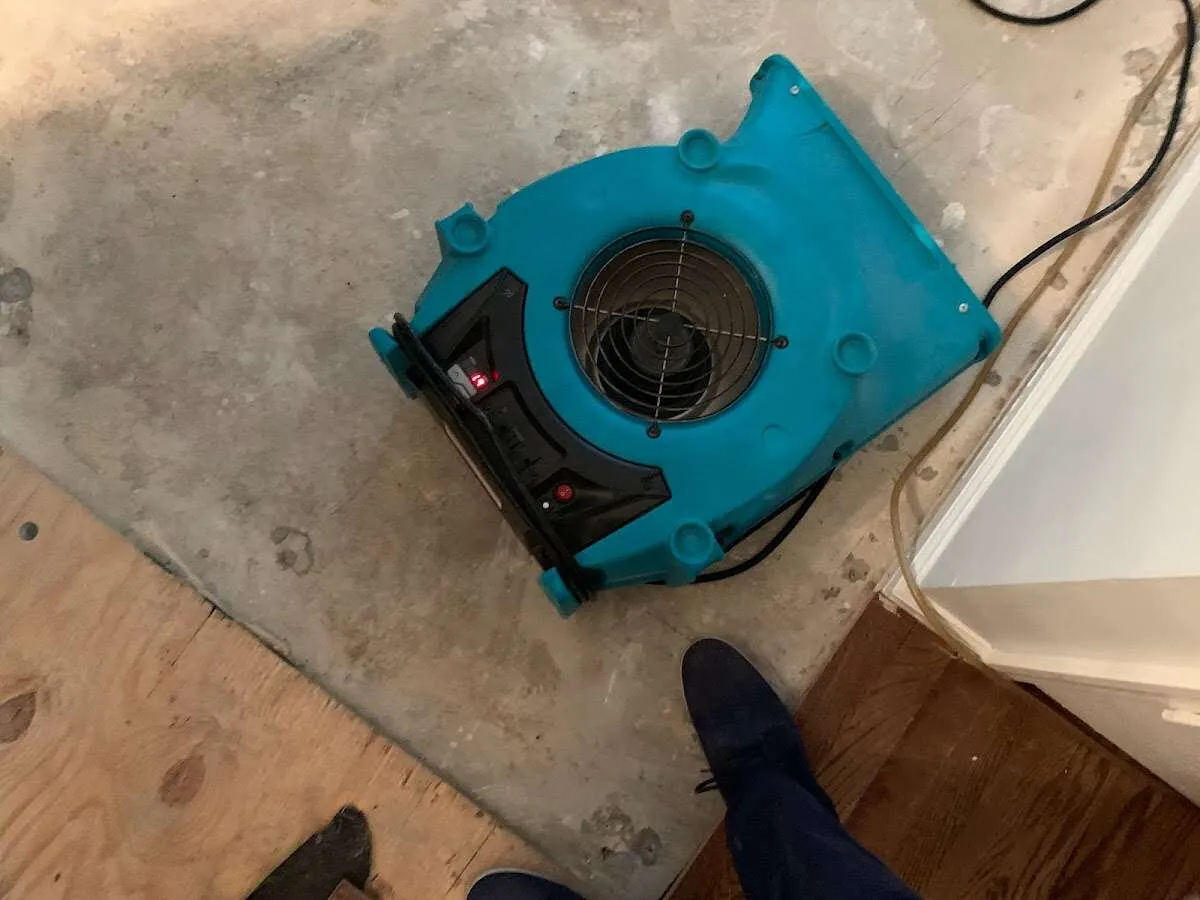 Air mover drying subfloor during Commercial Water Damage Restoration in Talent